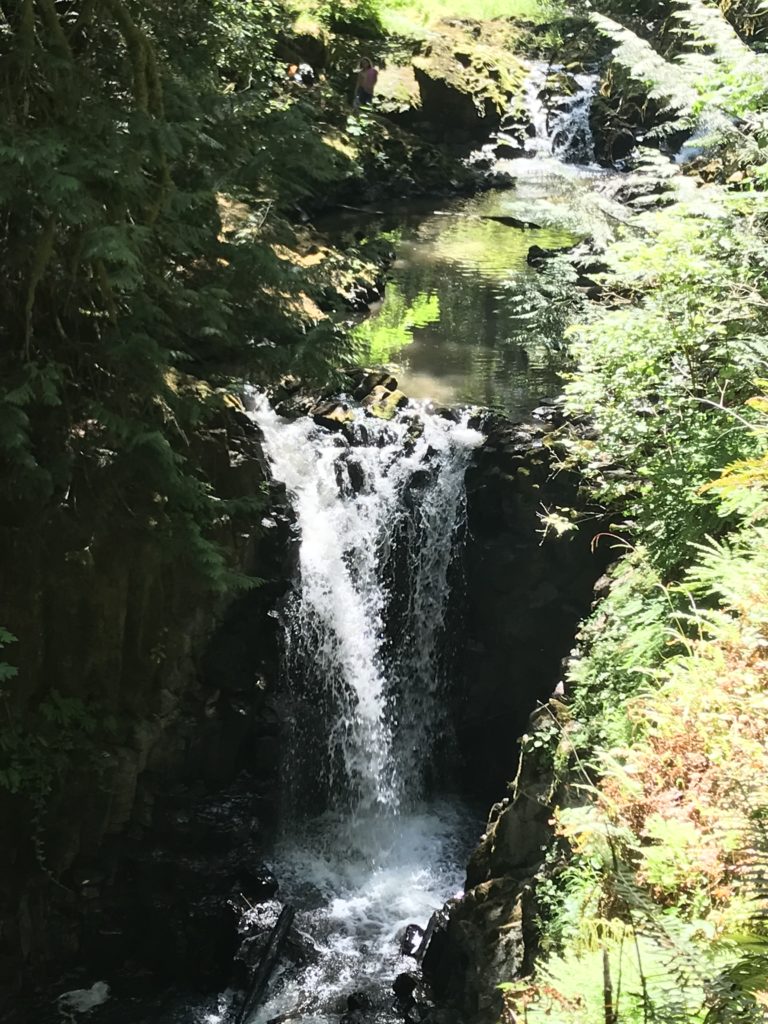 Kennedy Creek waterfall