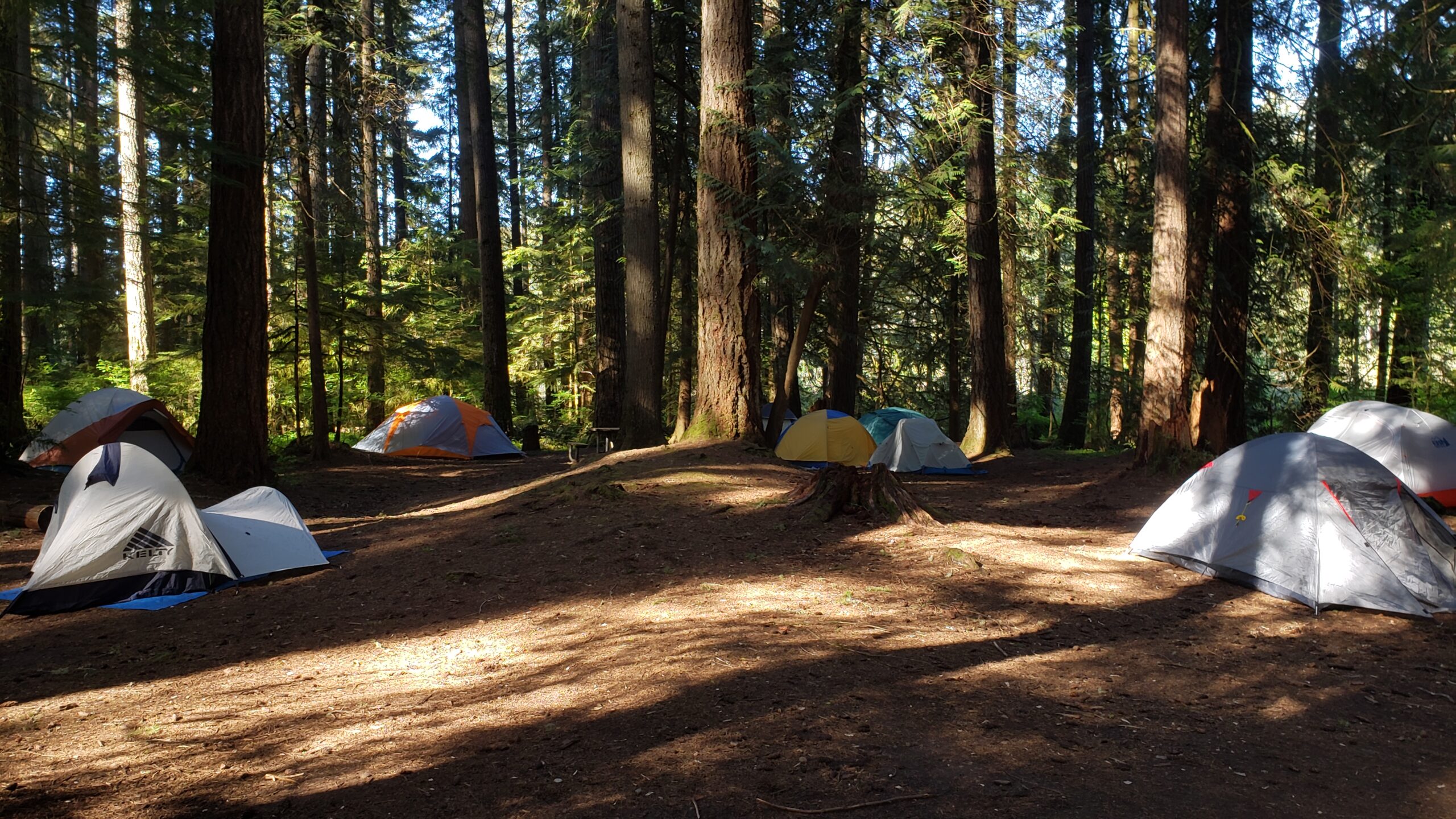 Tents pitched in the woods.