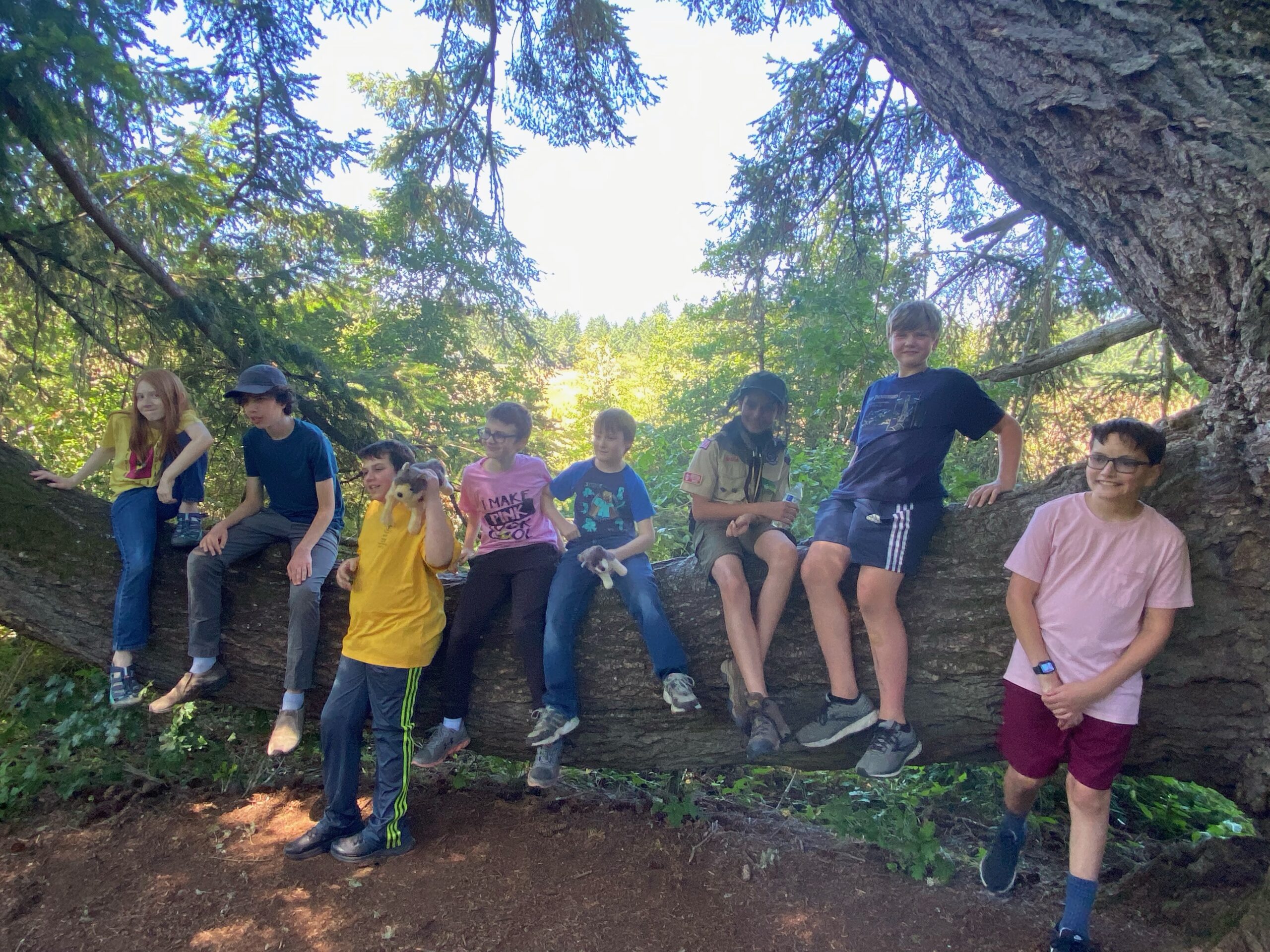 Scouts sitting on a tree limb.